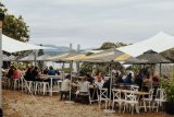 Plettenberg Bay reports steady growth in tourism figures