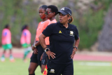 Banyana don’t get the credit they deserve — Ellis