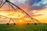 SA’s agricultural exports surge by 10% in Q1