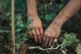 I'm A Gardening Expert ― Don't Skip 6 Key Tasks Before Spring