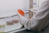 Gut Health Discovery Could Help Future Parkinson's Diagnoses