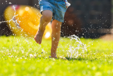 UK Heatwave: Gardeners Urged To Clear These Items From Their Lawns