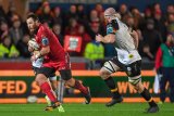 Marnus: Scarlets move made Bok dream come true