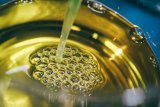 Dietitian Shares The 1 Cooking Oil Rule They Follow For A Healthy Heart