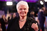 Judi Dench Is Right – Dementia Diagnoses Can Take 'Far Too Long'
