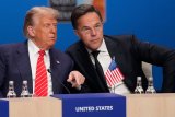 Nato Chief Calls Donald Trump 'Daddy' As He Justifies US President's F-Word Outburst