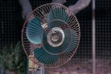 What Should You Actually Do When There's A Heat Alert?