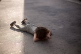 I'm A Therapist – A Simple Question Can Help Stop A Tantrum In Its Tracks