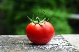 I Just Learned How Rotten Tomatoes Scores Really Work, And It's Way More Complicated Than I Thought