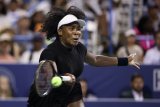 Venus Williams Has Some Smashing News About Her Personal Life