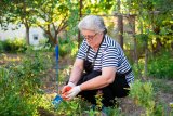 UK Gardeners Urged To Start These Key August Tasks Now