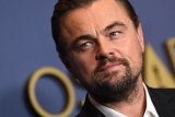 Leonardo DiCaprio Reveals Biggest Hollywood Regret: 'It's True'