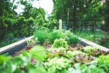 UK Gardeners Urged To Do 4 Tasks This Bank Holiday Weekend