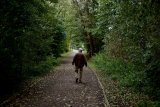 Here's How Many Steps To Walk A Day To Lower Your Dementia Risk