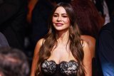 Sofía Vergara Was Supposed To Present At Emmys. She Ended Up In A&E Instead.