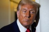 As Trump Links Autism To Paracetamol Use In Pregnancy, Here's What You Need To Know