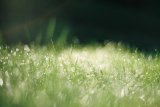 UK Gardeners Urged Not To Make 8 Mistakes In Heavy Rain