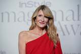 Laura Dern Blasts 'Absurd' 'Nepo Baby' Debate