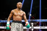 Floyd Mayweather to come out of retirement
