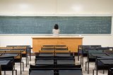 News24 | Martin Luther King, cows on heat, and bakery supplies: Where pupils went wrong in 2024 matric exams