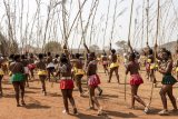Furious Zulu king lambasts royal critic, challenges him to stick-fighting match