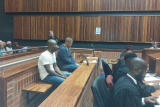 Lengthy jail term for gardener who killed woman and son in Alberton