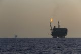 BP, Shell to study hydrocarbon potential at three Libyan oilfields