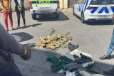 Officials in Cape Town seize 692 units of freshly poached abalone