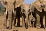SANParks offers FREE access to these Frontier Region parks in September