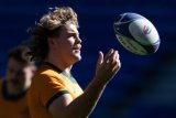 Will the Wallabies beat the Springboks again? Here’s Australia’s team