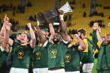 Rampaging South Africa power to record 43-10 win over All Blacks