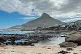 The Cape Town Lifestyle: Cold plunges, coastal runs, Sea Point
