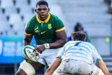 Lions lure future Springbok superstar Bathobele Hlekani from Sharks