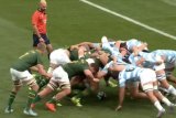 Watch: Bok scrum bullies Pumas