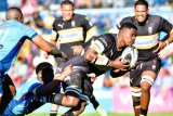 Currie Cup weekend WRAP | Sharks, WP remain winless, Bulls humbled