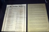 OPINION | Great strides made since the adoption of Freedom Charter in 1995, but more still need (…)