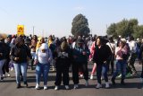 Farmworkers protest over unpaid salaries after thousands of starving chickens slaughtered