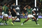 KEN BORLAND| Rassie’s vindication: so many pluses for Boks to bring back from Wellington