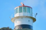 What the flying funicular: Why Cape Point is a must-visit