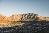 Explore Cape Town: The Arderne Gardens