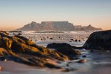 Taking touring to the next level: Discover the tunnels in Cape Town