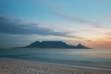 Explore the Cape’s Winelands: Babylonstoren Garden