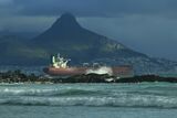 Cape Town winds force fruit exporters to divert containers to other ports