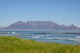 Exploring Cape Town’s forests: Tokai