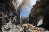 Gazans reject Trump's displacement plan despite death and destruction