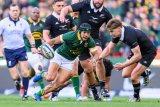 Spencer backs Boks to breach All Blacks fortress