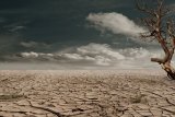 Protecting agriculture against climate change: What must be done