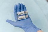 SA pushes local foot-and-mouth vaccine after R72m spend