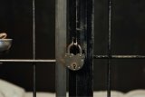 South Africans arrested in Zimbabwe for illegal entry face deportation