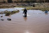 Eastern Cape flood death toll rises to 103